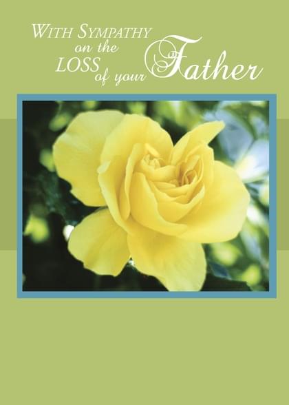 Send this "Roses" Sympathy (People) card w/ your own handwriting by mail directly from Signed. No need to leave your house. Do it all online for $7.99!