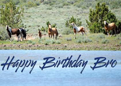 Happy Birthday Bro