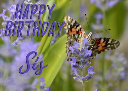 HAPPY BIRTHDAY Sis