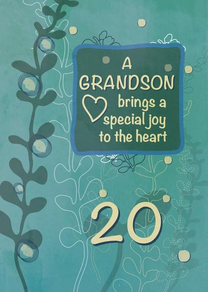A GRANDSON brings a special joy to the heart 20