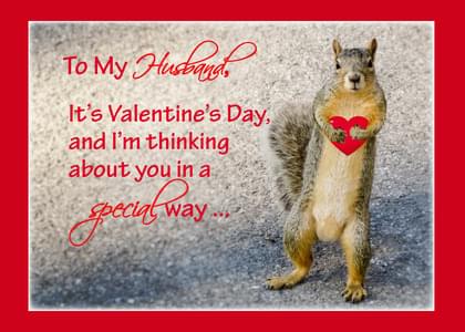 Nuts About You Love Anniversary Valentines Day Squirrel Nature Greeting