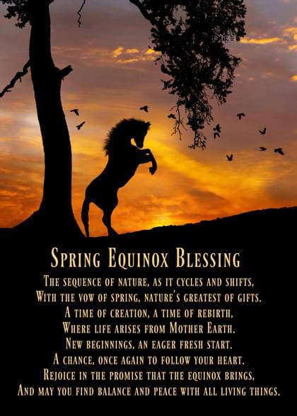 Send this "Horses" Spring card w/ your own handwriting by mail directly from Signed. No need to leave your house. Do it all online for $7.99!
