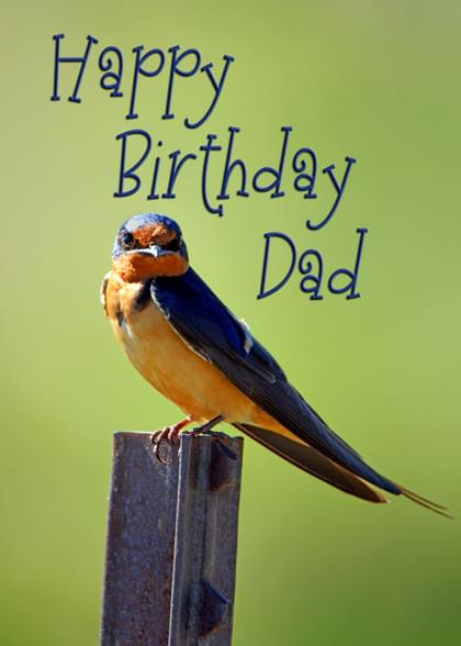 Happy Birthday Dad