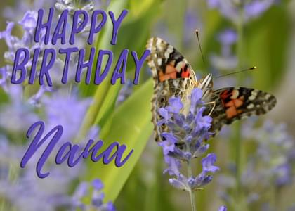 HAPPY BIRTHDAY Nana