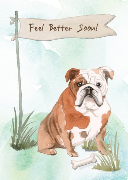 Send this "Bulldogs and Dogs" Get Well (General) card w/ your own handwriting by mail directly from Signed. No need to leave your house. Do it all online for $7.99!