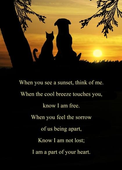 Send this &quot;Sunrise/Sunset and Pets&quot; Sympathy (Animals) card w/ your own handwriting by mail directly from Signed. No need to leave your house. Do it all online for $7.99!