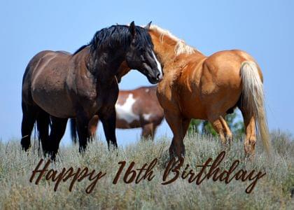 Happy 16th Birthday