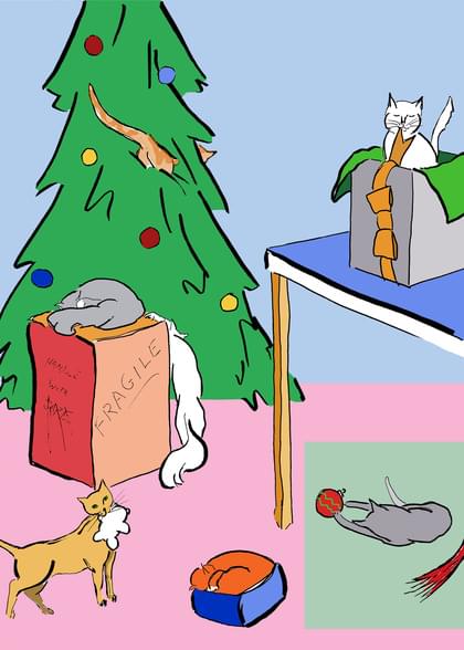 Send this "Cats and Christmas Trees" Christmas card w/ your own handwriting by mail directly from Signed. No need to leave your house. Do it all online for $7.99!