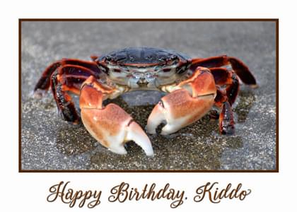 Happy Birthday. Kiddo