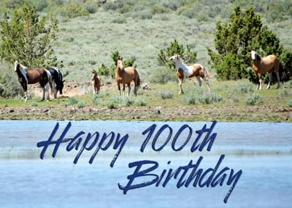 Send this "Horses" Birthday card w/ your own handwriting by mail directly from Signed. No need to leave your house. Do it all online for $7.99!