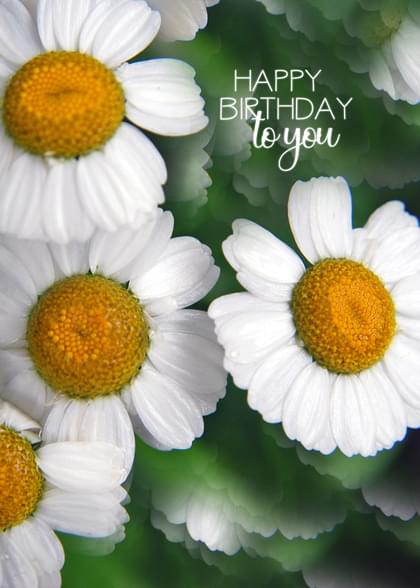 HAPPY BIRTHDAY to you