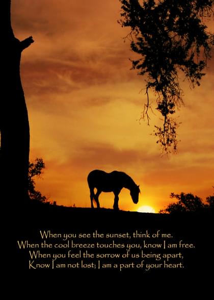 Send this "Horses" Sympathy (People) card w/ your own handwriting by mail directly from Signed. No need to leave your house. Do it all online for $7.99!