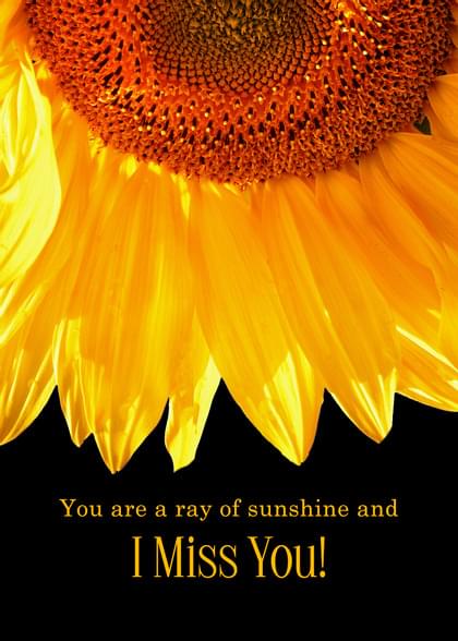 Send this "Sunflowers" Missing You card w/ your own handwriting by mail directly from Signed. No need to leave your house. Do it all online for $7.99!