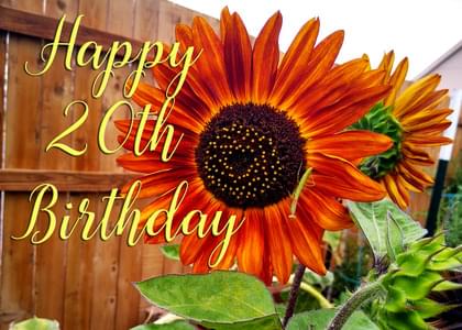 Send this "Sunflowers" Birthday card w/ your own handwriting by mail directly from Signed. No need to leave your house. Do it all online for $7.99!