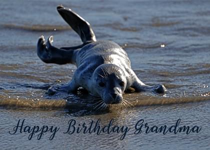 Happy Birthday Grandma