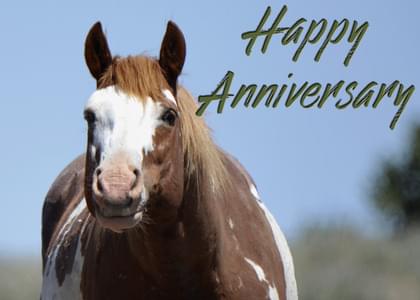 Send this "Horses and Simply Happy Birthday" Anniversary (Any) card w/ your own handwriting by mail directly from Signed. No need to leave your house. Do it all online for $7.99!