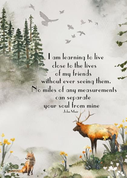 Send this "Forests and Deer" Inspirational card w/ your own handwriting by mail directly from Signed. No need to leave your house. Do it all online for $7.99!