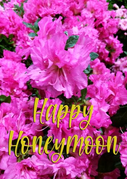 Send this "Flowers" Honeymoon card w/ your own handwriting by mail directly from Signed. No need to leave your house. Do it all online for $7.99!