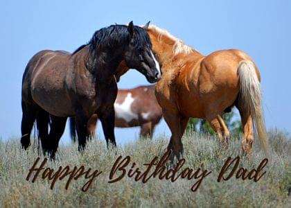 Happy Birthday Dad