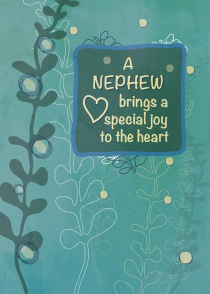 A NEPHEW brings a special joy to the heart