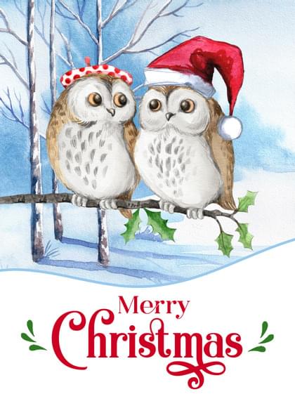 Send this "Snow and Owls" Christmas card w/ your own handwriting by mail directly from Signed. No need to leave your house. Do it all online for $7.99!