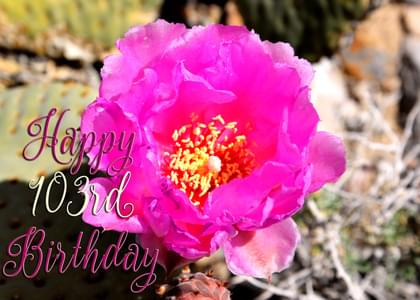 Happy 103rd Birthday