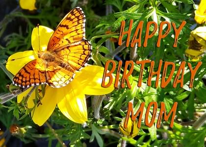 Happy Birthday Mom