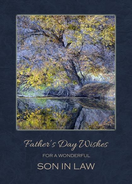 Father's Day Wishes FOR A WONDERFUL SON IN LAW