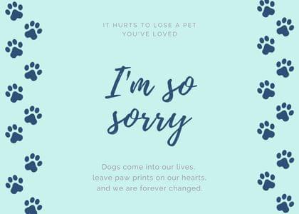 Send this "Dog Paw Prints" Sympathy (Animals) card w/ your own handwriting by mail directly from Signed. No need to leave your house. Do it all online for $7.99!