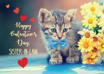 Send this "Kittens" Valentine's Day card w/ your own handwriting by mail directly from Signed. No need to leave your house. Do it all online for $7.99!