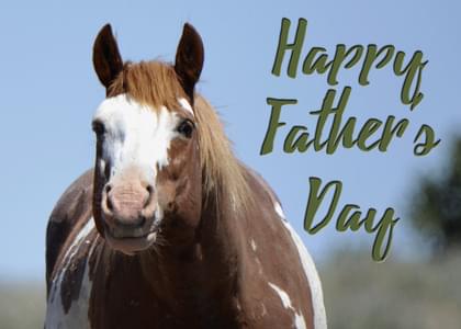 Send this "Horses and Simply Happy Birthday" Father's Day card w/ your own handwriting by mail directly from Signed. No need to leave your house. Do it all online for $7.99!