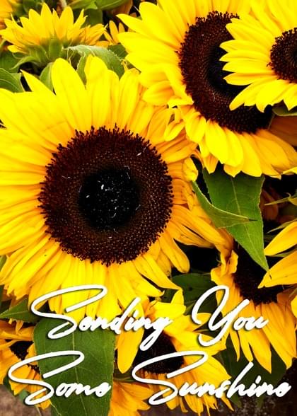 Send this "Sunflowers and Simply Happy Birthday" Inspirational card w/ your own handwriting by mail directly from Signed. No need to leave your house. Do it all online for $7.99!