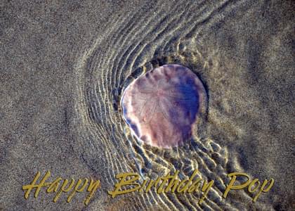 Happy Birthday Pop