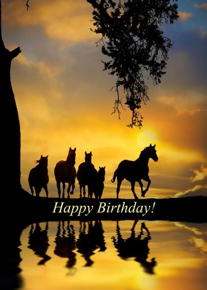 Send this "Horses" Birthday card w/ your own handwriting by mail directly from Signed. No need to leave your house. Do it all online for $7.99!