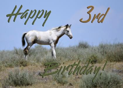 Happy 3rd Birthday!