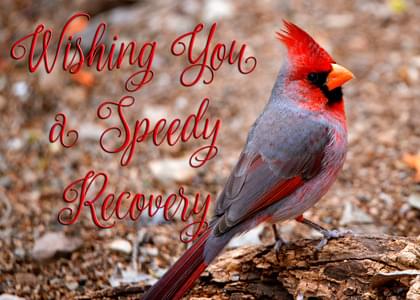 Send this "Cardinals and Simply Happy Birthday" Wishing You ... card w/ your own handwriting by mail directly from Signed. No need to leave your house. Do it all online for $7.99!