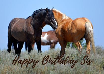 Happy Birthday Sis