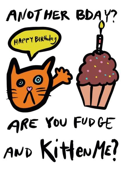 ANOTHER BDAY? ARE YOU FUDGE AND KITTEN ME?