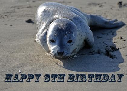 HAPPY 8TH BIRTHDAY