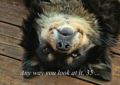 Any way you look at it, 35...