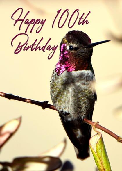Happy 100th Birthday