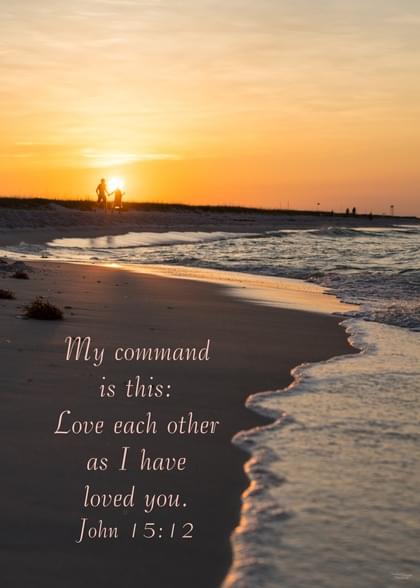Send this "Beach and Beaches" Greeting card w/ your own handwriting by mail directly from Signed. No need to leave your house. Do it all online for $7.99!
