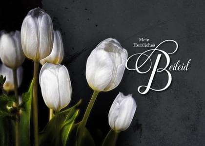 Send this &quot;German Language and Tulips&quot; Sympathy (People) card w/ your own handwriting by mail directly from Signed. No need to leave your house. Do it all online for $7.99!