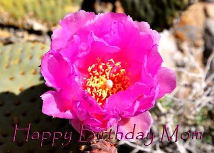 Happy Birthday Mom