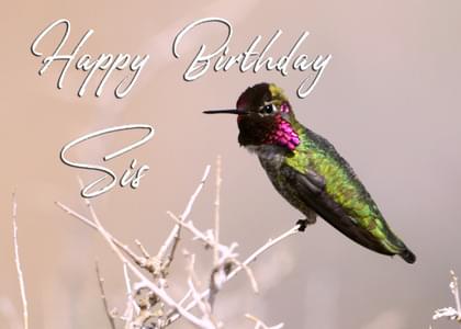 Happy Birthday Sis