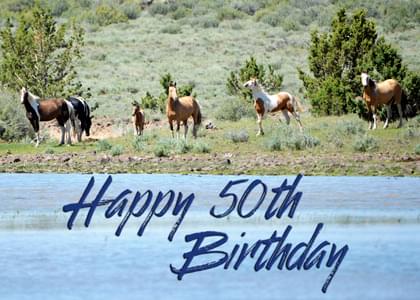 Send this "Horses" Birthday card w/ your own handwriting by mail directly from Signed. No need to leave your house. Do it all online for $7.99!