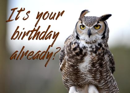 It's your birthday already?