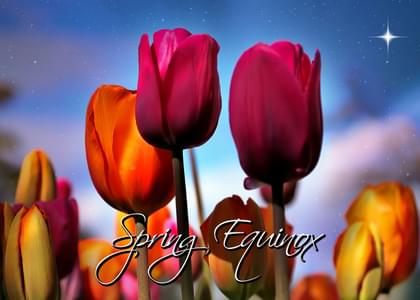 Send this "Tulips" Spring card w/ your own handwriting by mail directly from Signed. No need to leave your house. Do it all online for $7.99!
