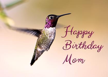 Happy Birthday Mom