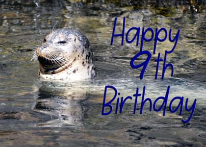 Happy 9th Birthday